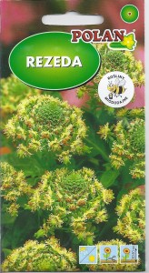 Rezeda wonna 2g (Reseda odorata grandiflora) nasiona  