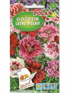 Goździk letni pełny 1g (Dianthus chinesis) nasiona
