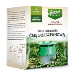 Pułapka feromonowa na ćmę bukszpanową