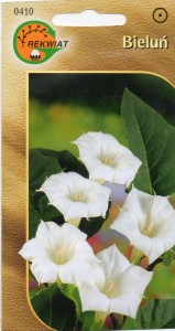 Bieluń 1g (Datura metel) nasiona
