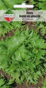 Sałata krucha lodowa Regina dei ghiacchi 1g  nasiona 