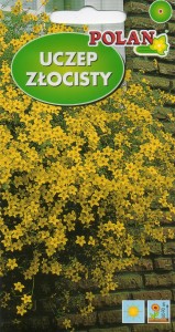 Uczep złocisty,Złoty Deszcz (Bidens aurea) 0,2g nasiona 