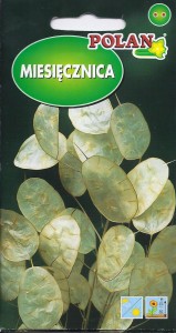 Miesięcznica,Srebrniki Judasza ( Lunaria annua) 2g nasiona 
