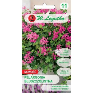 Pelargonia bluszczolistna Fuchsia F1 fioletowa 5nasion ( Peltiphyllum peltatum)