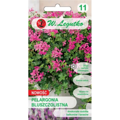 pelargonia-fuchsia-f1-fioletowa.jpg