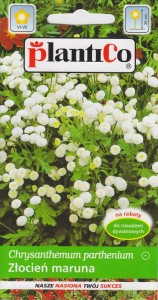 Złocień Maruna 0,2g