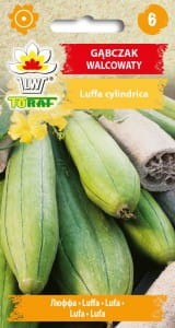 Gąbczak walcowaty 1g (Luffa cylindrica) nasiona