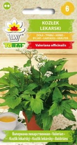 Kozłek lekarski 0,2g (Valeriana officinalis) nasiona
