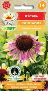 Jeżówka Green Twister 0,3g (Echinacea purpurea) nasiona