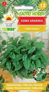 kawa-arabska_l.jpg