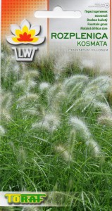 Trawa Rozplenica kosmata 12 nasion (Pennisetum villosum) 