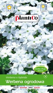 Werbena ogrodowa biała 0,5g