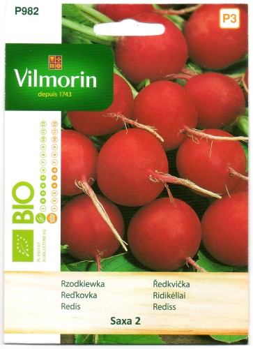 RZODKIEWKA SAXA 2.jpg
