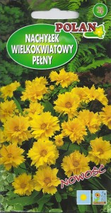 Nachyłek niski wielkokwiatowy pełny 0,1g (Coreopsis grandiflora)nasiona  