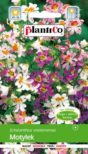 Motylek wisentoński 1g (Schizanthus visetonensis) nasiona