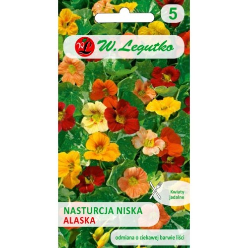 nasturcja-niska-alaska-mieszanka.jpg