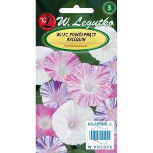 Wilec,Powój pnący Arlekin 1g (Ipomoea purpurea) nasiona