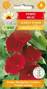 Powój,Wilec Scarlet O'Hara 2g (Ipomoea purpurea) nasiona