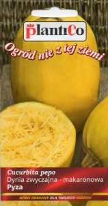 Dynia makaronowa Pyza 2g 