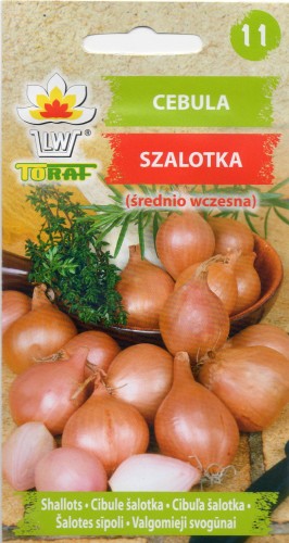 CEBULA SZALOTKA.jpg