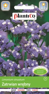 Zatrwian wrębny niebieski 0,2g (Limonium sinuatum) nasiona