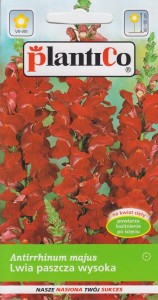 Lwia paszcza wysoka czerwona Commander 0,5g (Antirrhinum majus  maximus ) nasiona   