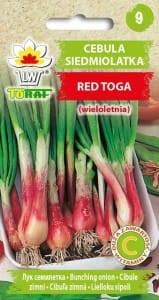 Cebula siedmiolatka  Red Toga zimująca 1g 