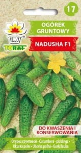 Ogórek gruntowy Nadusha f1 1g odporny na choroby