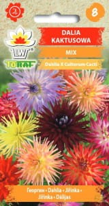 dalia-kaktusowa-mix_l.jpg