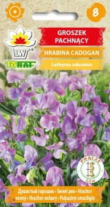 Groszek pachnący Hrabina Cadogan 1g (Lathyrus odoratus) nasiona 