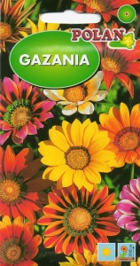Gazania mix 1g (Gazania rigens) nasiona