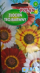 Złocień trójbarwny 1g (Chrysanthemum carinatum) nasiona 