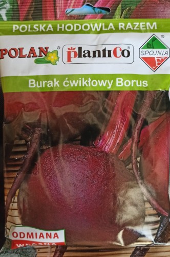 BURAK ĆWIKŁOWY BORAS.jpg