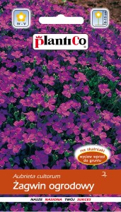 Żagwin ogrodowy 0,3g (Aubrieta cultorum) nasiona