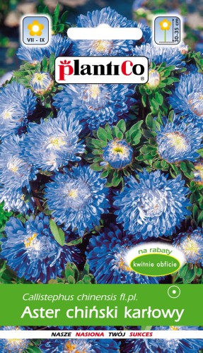 Aster chiński karłowy niebieski 1g PlantiCo agromarket24.pl