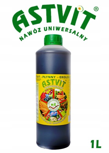 astvit.jpg