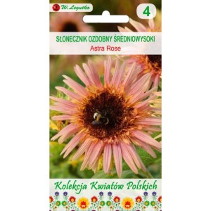 Słonecznik ozdobny Astra Rose 1g