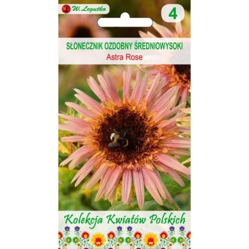 slonecznik-ozdobny-astra-rose.jpg
