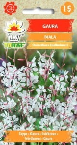 Gaura  biała 0,5g (Gaura lindheimeri) nasiona  