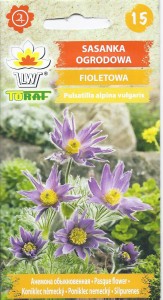 Sasanka ogrodowa fioletowa 0,2g (Pulsatilla alpina vulgaris) nasiona