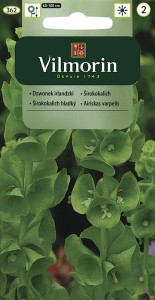 Dzwony/dzwonki Irlandzkie 1g (Molucella laevalis)  nasiona   