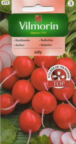 RZODKIEWKA JOLLY.jpg