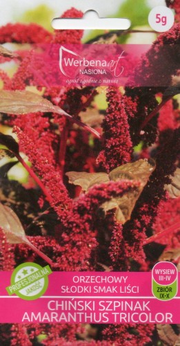 CHIŃSKI SZPINAK AMARANTHUS TRICOLOR.jpg