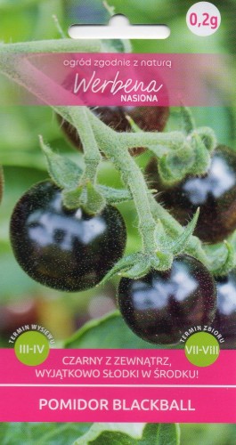 POMIDOR BLACKBALL.jpg