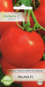 Pomidor Palava F1 szklarniowy  0.1g nasion