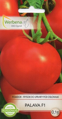 POMIDOR PALAVA F1.jpg