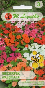 Niecierpek waleriana F2 mix 0,1g (Impatiens walleriana) nasiona