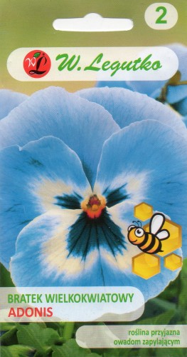BRATEK WIELKOKWIATOWY ADONIS.jpg