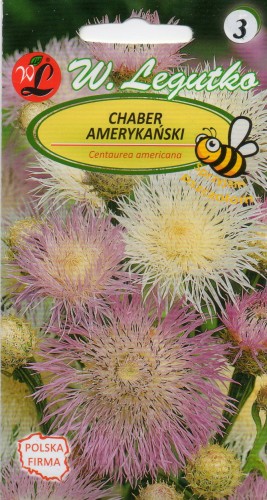 CHABER AMERYKAŃSKI.jpg