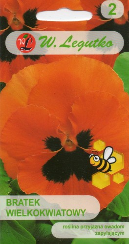 BRATEK WIELKOKWIATOWY.jpg